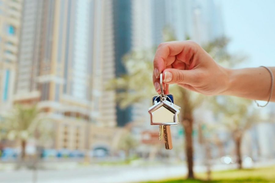 Invest in Dubai's Property (7)