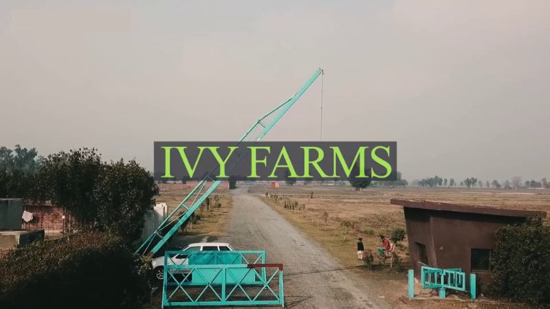 IVY Farms Lahore